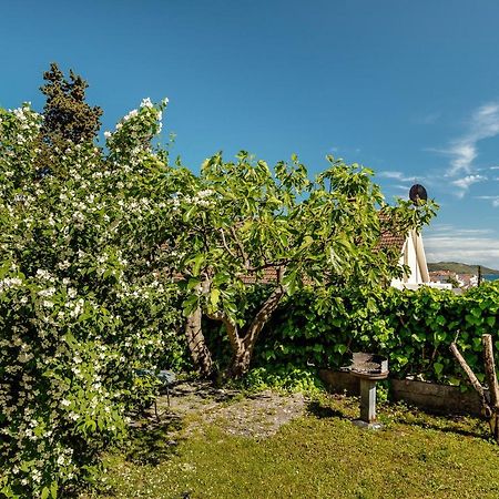 Green Garden Apartments Χέρτσεγκ Νόβι Εξωτερικό φωτογραφία