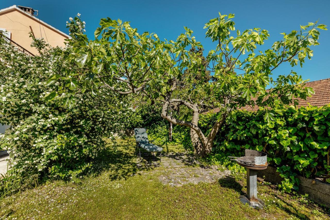 Green Garden Apartments Χέρτσεγκ Νόβι Εξωτερικό φωτογραφία