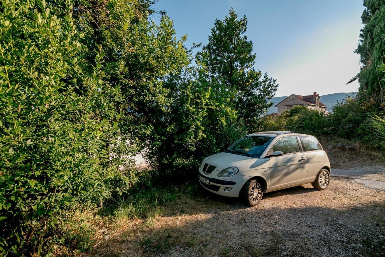 Green Garden Apartments Χέρτσεγκ Νόβι Εξωτερικό φωτογραφία