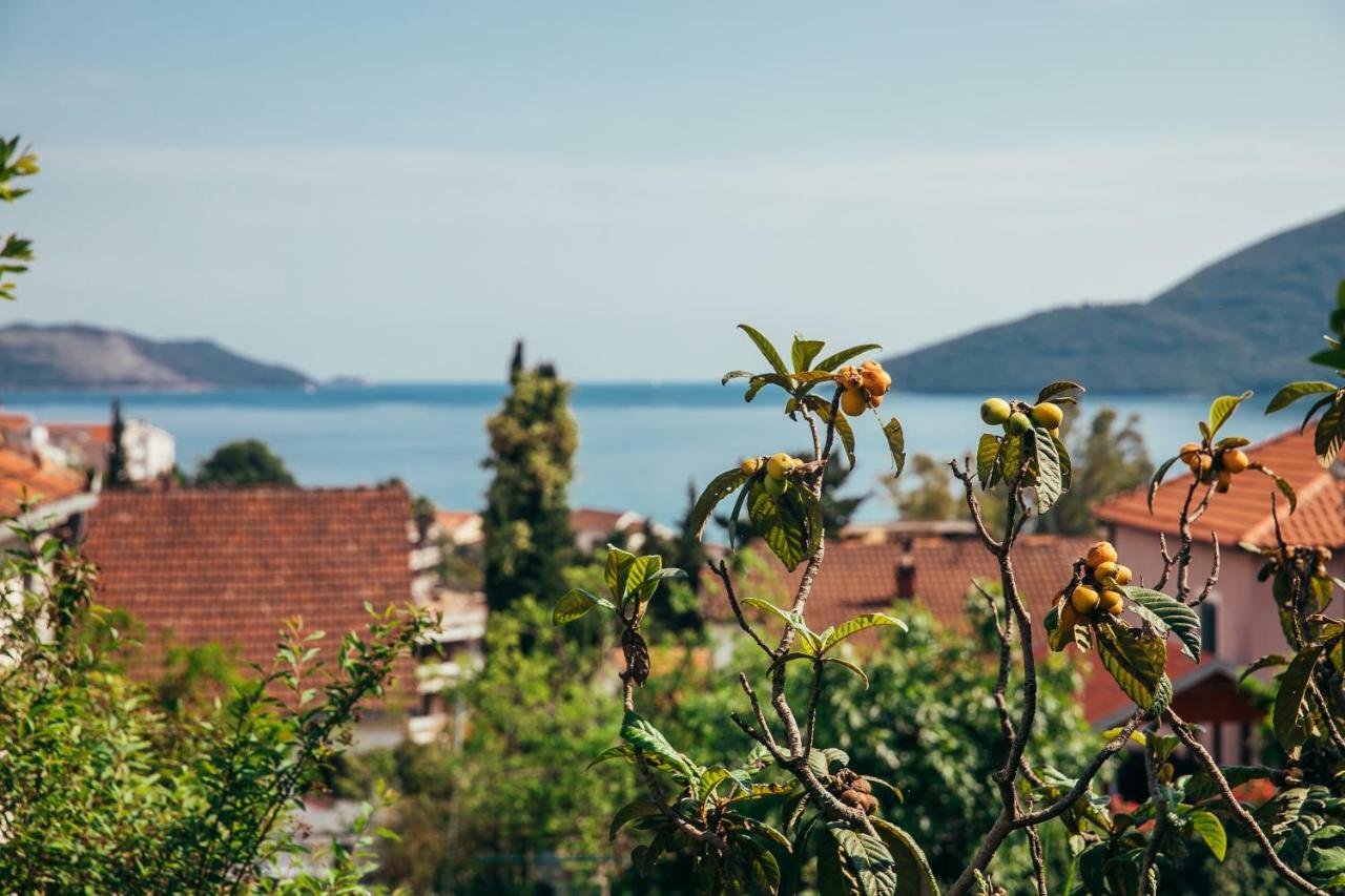 Green Garden Apartments Χέρτσεγκ Νόβι Εξωτερικό φωτογραφία